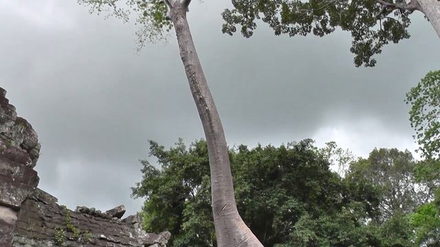 Камбоджа. Анкор-Ват. Храмовый комплекс 12 века. Визитная карточка Камбоджи смотреть онлайн