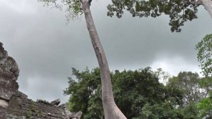 Камбоджа. Анкор-Ват. Храмовый комплекс 12 века. Визитная карточка Камбоджи