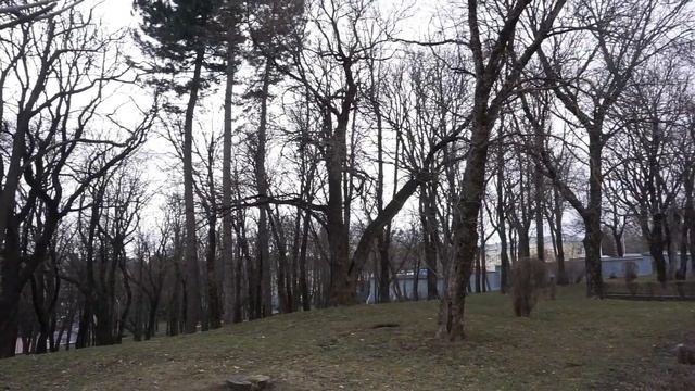 В гармонии с окружающим миром: выходной, йога, медитация, приятная рутина смотреть онлайн