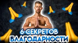 6 СЕКРЕТОВ БЛАГОДАРНОСТИ | Никита Метелица | БИОХАКИНГ