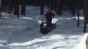 Даня (8 лет). Мотобуксировщик  "БАРС", http://buksbars.pul.ru/, буксировщик, мотособака.