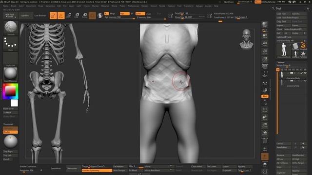 32_Фигура и скелет№1  для создания #3d_персонажей