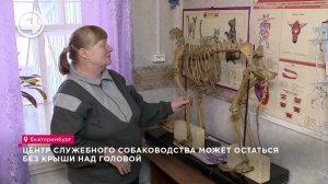 Сквозь слёзы: Старейший клуб служебного собаководства Екатеринбурга теряет свою крышу!