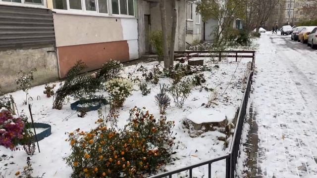 Районы Калининграда: микрорайон Чкаловск, Первый снег смотреть онлайн