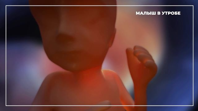 Чем Занимается Ребенок, Пока Находится у Мамы в Животе… смотреть онлайн