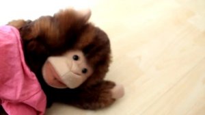 Five Little Monkeys Jumping on the Bed /5 маленьких обезьян /Детские песни