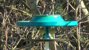 Я НАЗОВУ ТЕБЯ ЗОРЕНЬКОЙ- КАРАОКЕ ПОД БАЯН - Проснись и пой !