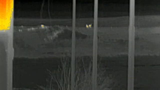 InfiRay T2 Pro, plug in thermal camera Part 1 смотреть онлайн