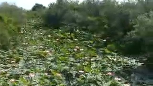 Катер своими руками! смотреть онлайн