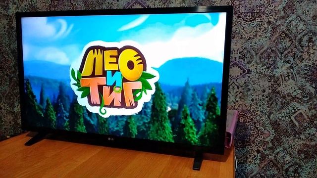 Обзор телевизора LG после полгода использования | как выбрать телевизор смотреть онлайн