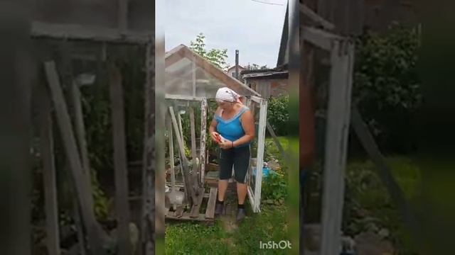 Дачные лайфхаки.часть 2 подвязка помидор смотреть онлайн