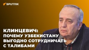 Клинцевич: Переговоры Узбекистана с талибами как глоток свежего воздуха