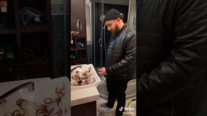 Приключения Алика