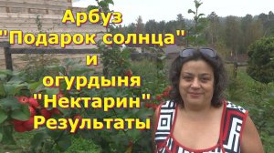 Арбуз "Подарок Солнца" и огурдыня "Нектарин". Что выросло?