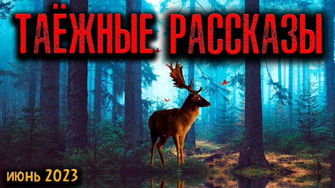 Рассказы слушать про тайгу и таежную мистику. Таежные истории мистические. Таежная мистика. Тайга мистика. Случай в тайге мистика.