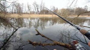 Ловля Весенней Краснопёрки на Донную снасть !!! 2021 г. Дятьково / Брянская обл .