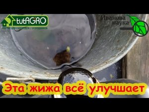 ПОЛЕЙТЕ ЖИЖЕЙ И ПЕСОК СТАНЕТ ПЛОДОРОДНЫМ! Улучшение песчаных почв. Есть только 2 реальных способа.