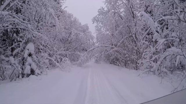 Карелия.ПРОБИВАЮ ДОРОГУ на малыше.Ямаха Браво250 смотреть онлайн