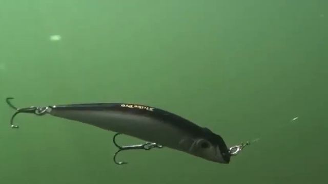 #ВидеоОбзор #ВоблерСлон на судака #StrikeProDarterRKing смотреть онлайн