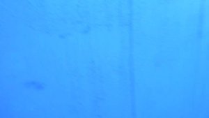 Электрические лифты (г. Зеленоград), V=1 м-с, г-п 400, 1000 кг (32), музыкальный лифт Wellmaks