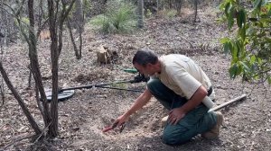 Minelab gpz 7000, Nugget Finder Zsearch coil and ZX Gold Pro headphones