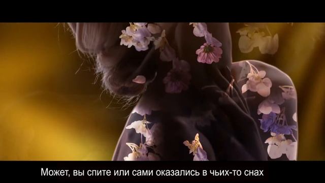 Новая линейка продукции - Celle's Tiane смотреть онлайн