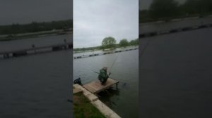 рыбалка рыбалка в подмосковье карп ловля карпа суперкарп белеутово karp fishing(4)