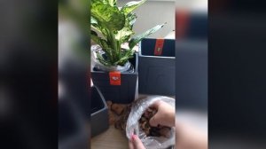 Необычный дренаж для цветов