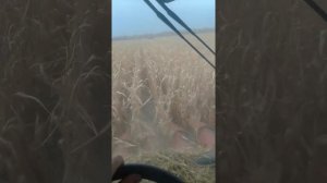 настройка комбайна John Deere для кукурузы