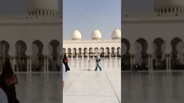 Курды в мечети шейха Зайда ОАЭ смотреть онлайн