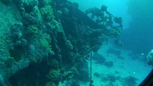 ДАЙВИНГ В ЕГИПТЕ. МОРСКАЯ ЭКСКУРСИЯ. КОРАЛЛЫ КРАСНОГО МОРЯ. Египет. DIVING IN EGYPT. SEA EXCURSION.