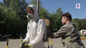 Гнус атакует. Как в Сургуте борются с надоедливыми насекомыми?