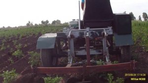 Окучивание 3х рядным окучником