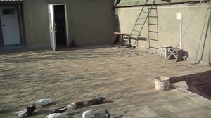 21 апреля 2019 г пос НОВОЭКОНОМИЧЕСКОЕ ГОРБОЧЕВ  МИХАЙЛОВИЧ  ВСЕХ С ПРАЗДНИКОМ