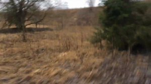 Карьер Елизаветино. 19.01.2020