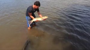 РЫБАЛКА ЛЕТОМ  НА КАРПА И Амура Карпфишинг 2019