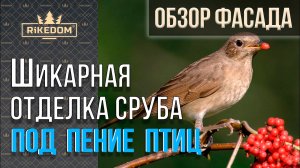 Смотрите дома из дерева среди леса, а какая красивая отделка!