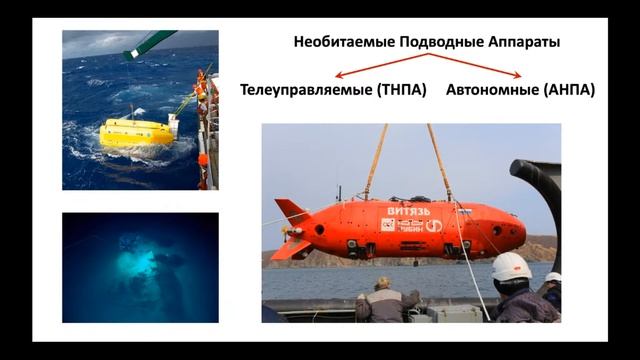 "Молекулярные исследования водных организмов"