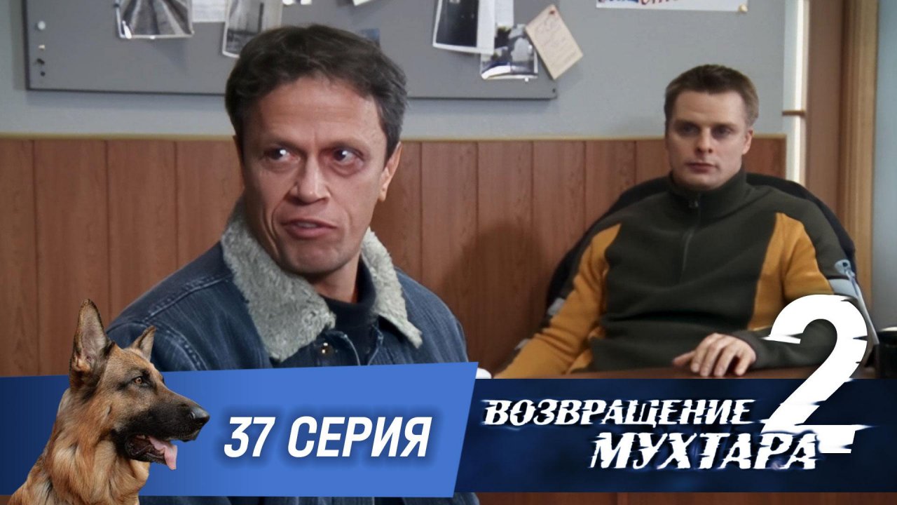 Возвращение Мухтара  2. 37 серия. Наследник