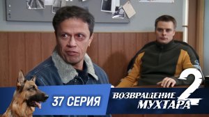 «Возвращение Мухтара — 2». 37 серия. «Наследник»