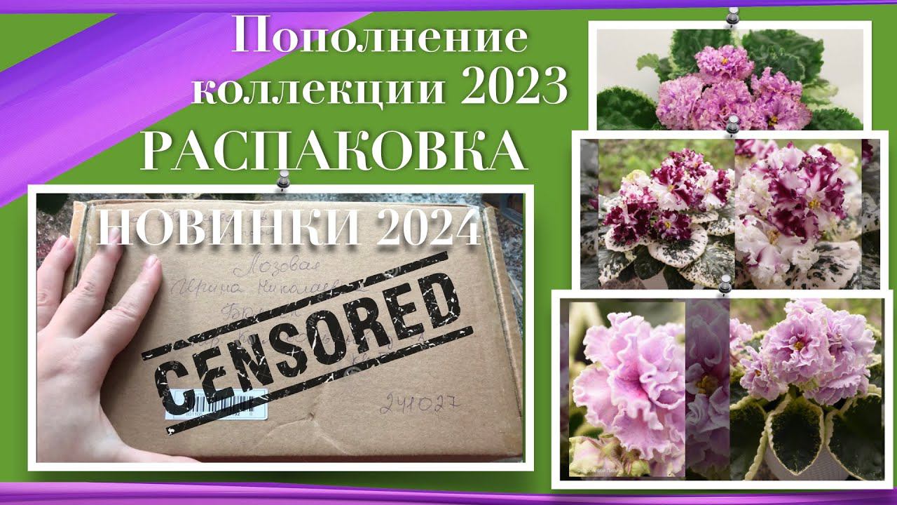 Пополнение коллекции летом 2023 года. Обзор новых сортов фиалок.  Распаковка посылки.