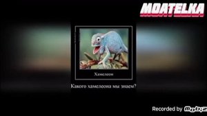 Разоблачение на имя даша