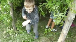 Дети строят шалаш.