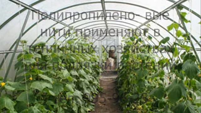 Шпагат полипропиленовый ТЕКС2200 от ГК ПОЛИМЕРСНАБ смотреть онлайн