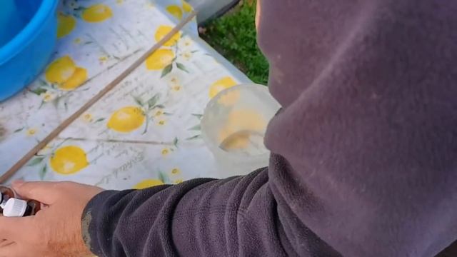 Кто отбирает мой зимний сад?/зачем чернят резину/ Деловой муж/ ремонт садовых часов