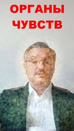 Информацию о мире, мы считываем органами чувств. Пять или шесть органов чувств у человека?