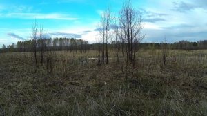 На Селезня с подсадной. Закрытие сезона.