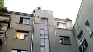 Кошка упала с высоты!!!