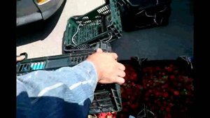 Мастер-класс как продать вчерашнюю клубнику.Смотреть до конца!