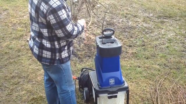 ЧТО делать с ИВОЙ в вашем САДУ. САДОВЫЙ ИЗМЕЛЬЧИТЕЛЬ LUX 2500.АКАДЕМИЯ САДОВОДА-МЕШОЧНИКА Встреча 9
